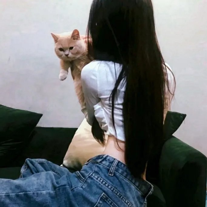 归来是少年